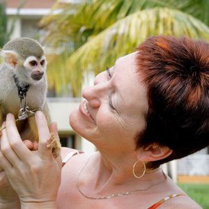 Meet your Posher, Sylvie